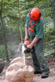 Click to see it big Ich mit Kettensäge, Impression aus dem Wald